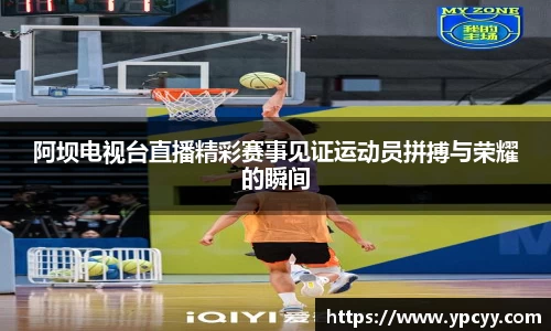 完美体育在线入口官网