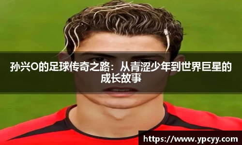 完美体育官网
