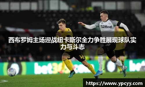 完美体育